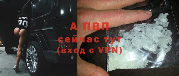 метадон Богданович