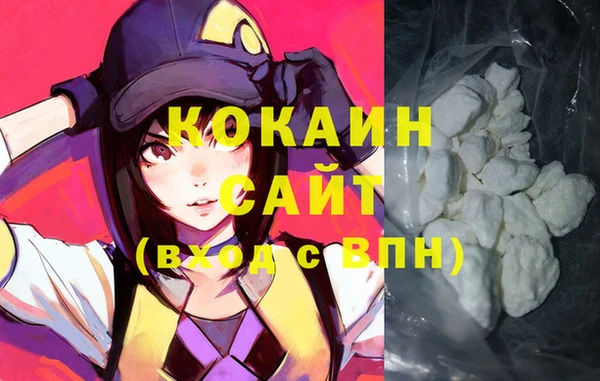 метадон Богданович