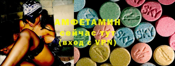 метадон Богданович