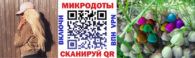 Галлюциногенные грибы мицелий  Комсомольск 